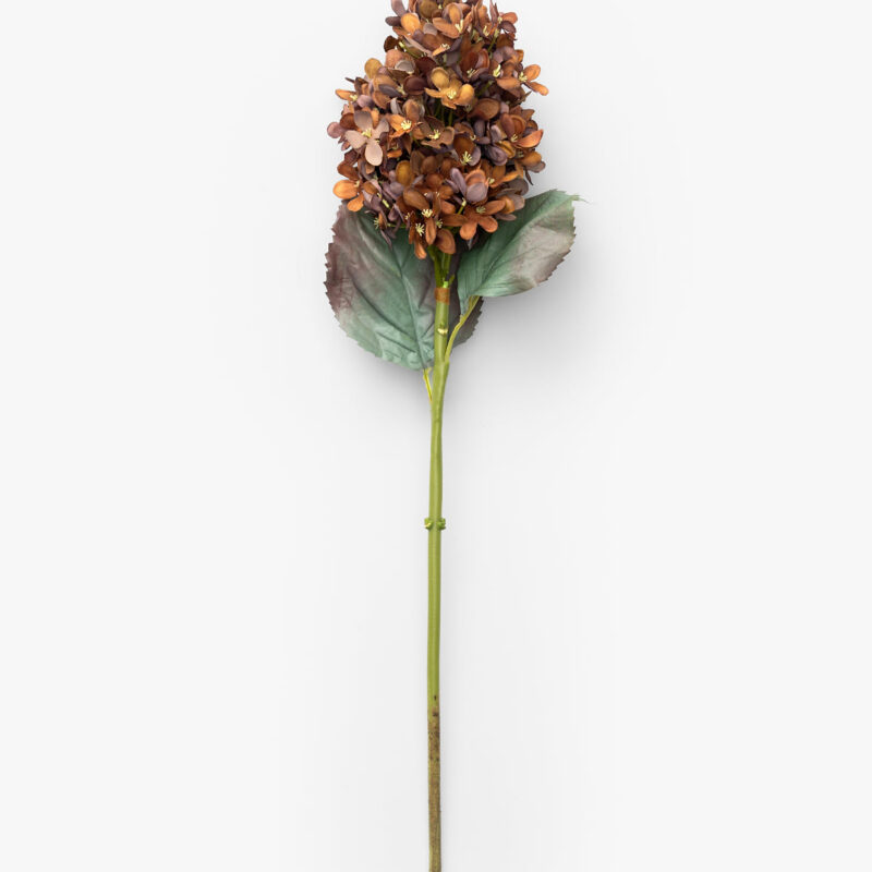 23" Burgundy Cone Hydrangea McGee & Co