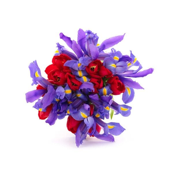 BLOOMSYBOX | X's And O's Fresh Flower Bouquet