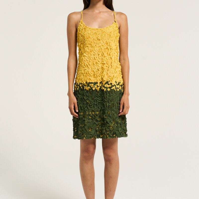 BNTO | Galliano Applique Mini Dress