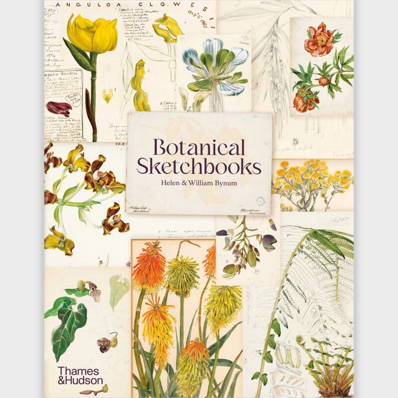 Botanical Sketchbooks Cabana Magazine