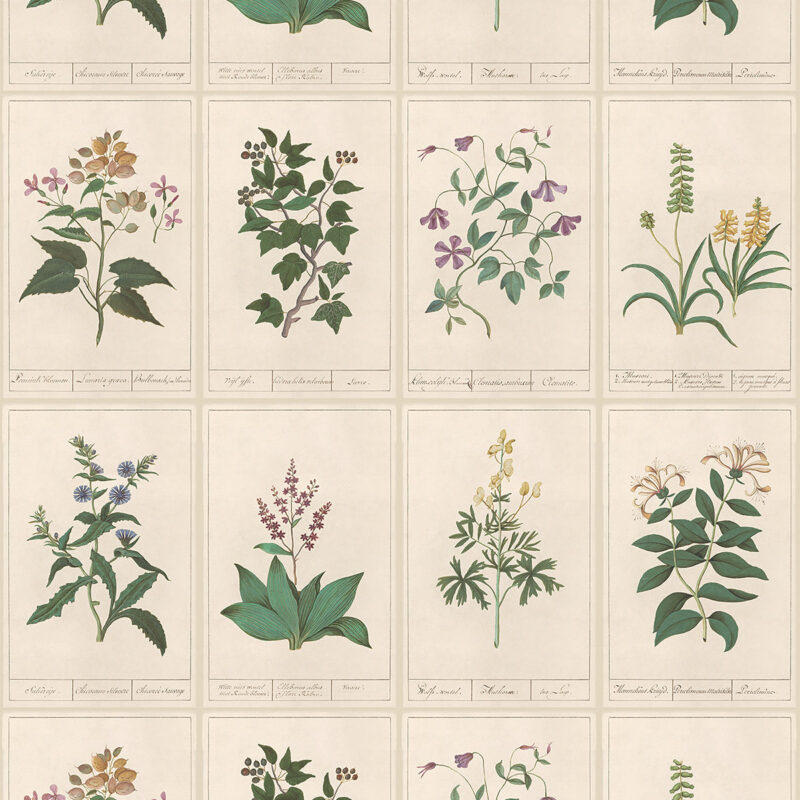 Botanique Wallpaper McGee & Co