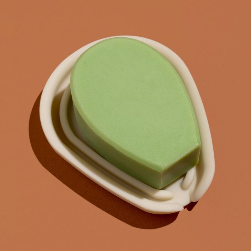 Cactus Soap Dish Nopalera