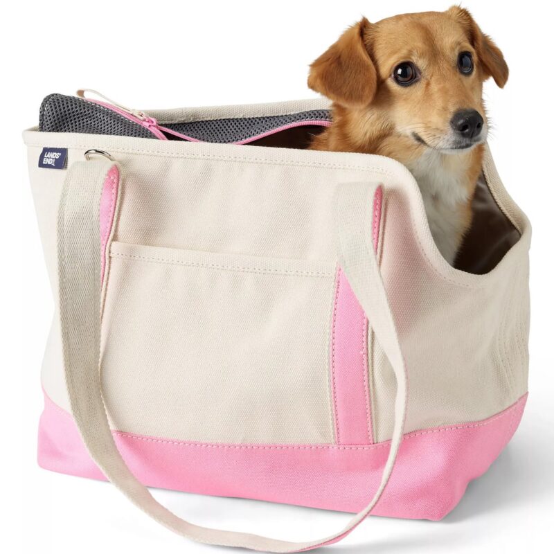 Canvas Dog Tote Carrier - Lands' End - Ivory