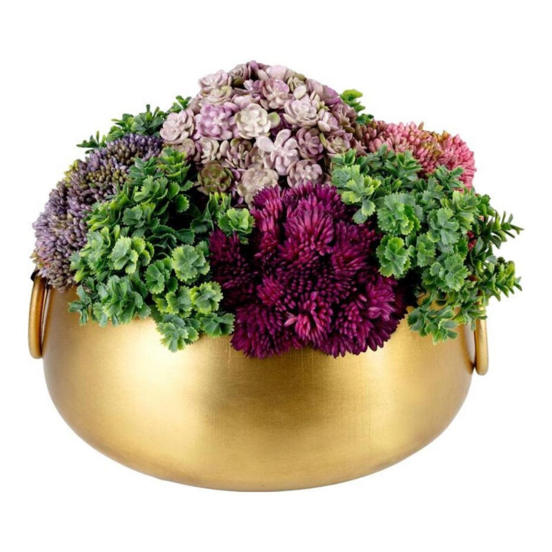 CocoBella | Alba Sedum Arrangement Bloomingdale's