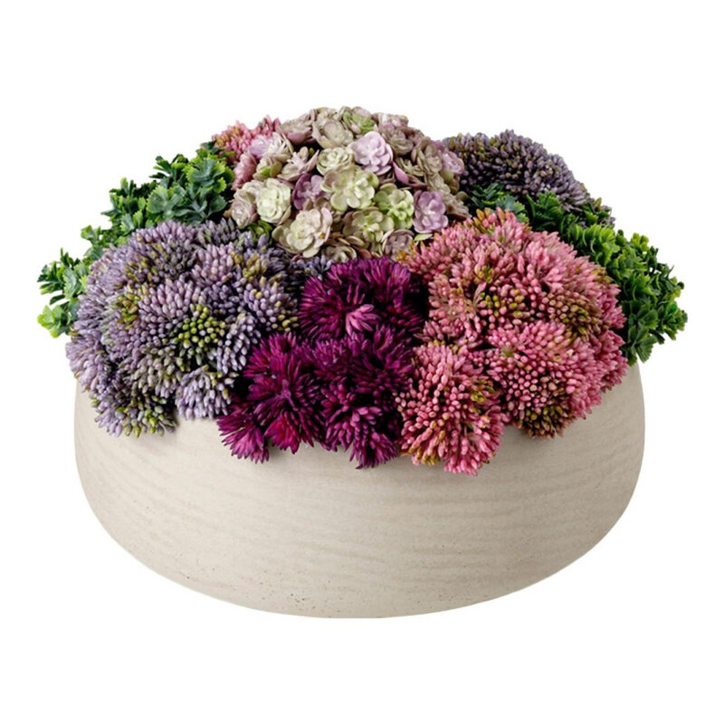 CocoBella | Georgina Sedum Arrangement