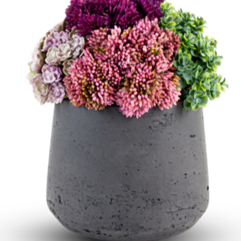 CocoBella | Neriah Mini Sedum Arrangement
