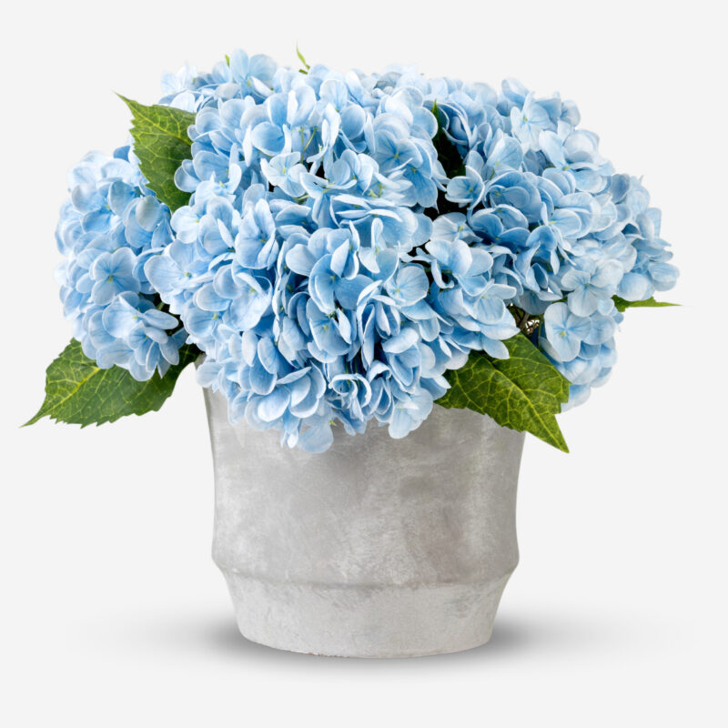 CocoBella | Ryann Realtouch Hydrangea Arrangement Flower