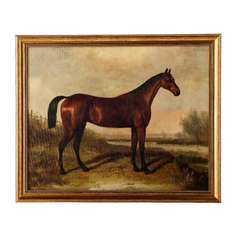 Equestrian Cavalry Madison Bay