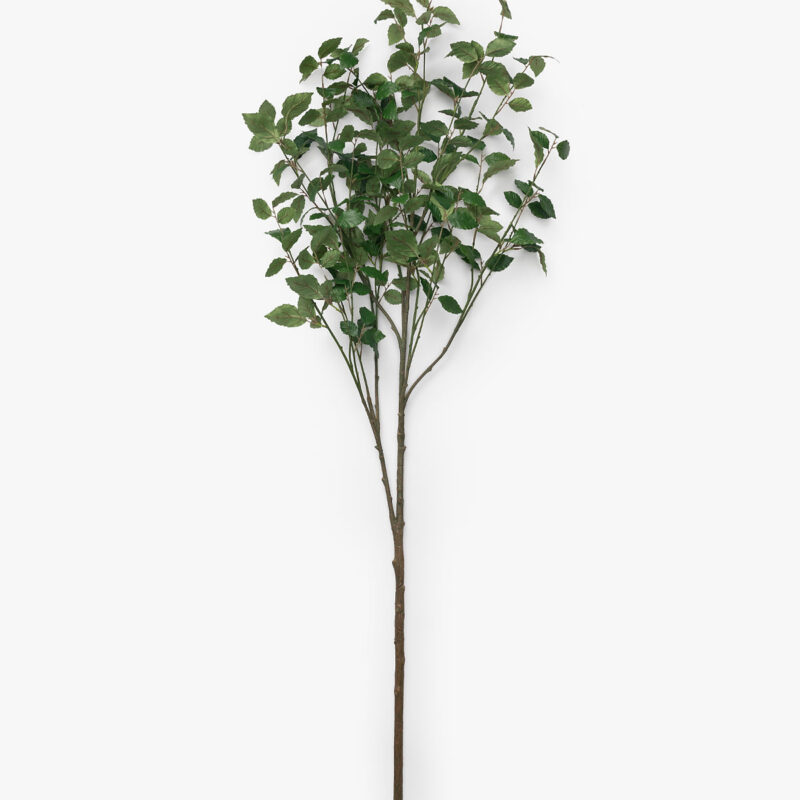 Faux Beech Leaf Branch McGee & Co
