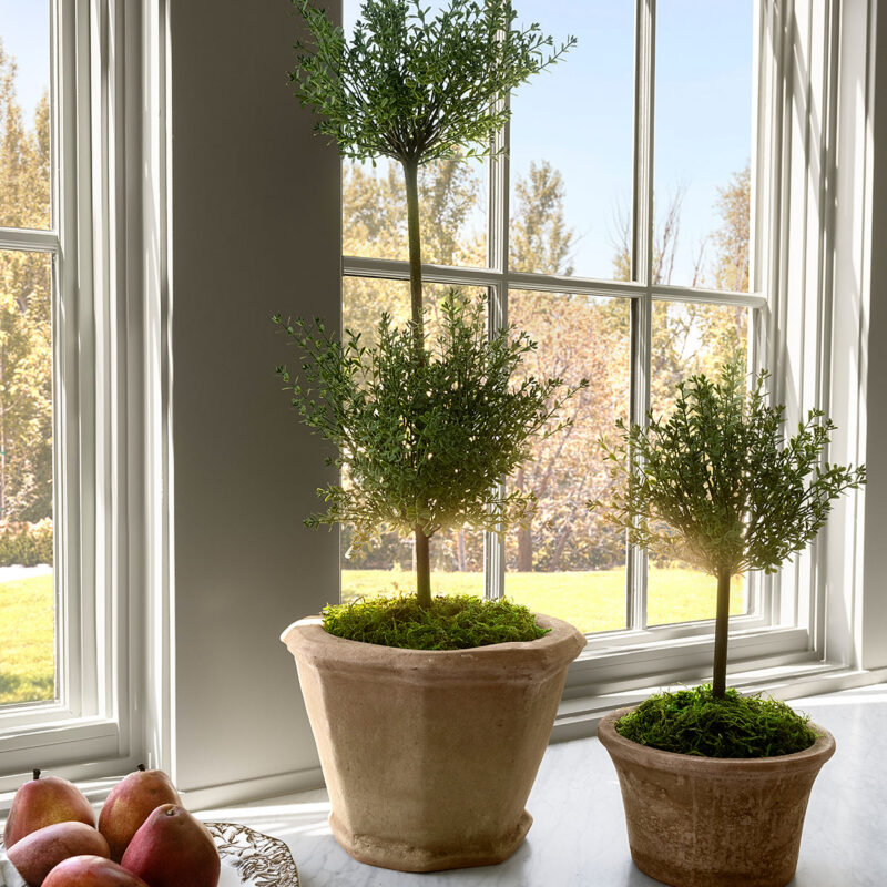 Faux Myrtle Topiary Drop-In McGee & Co