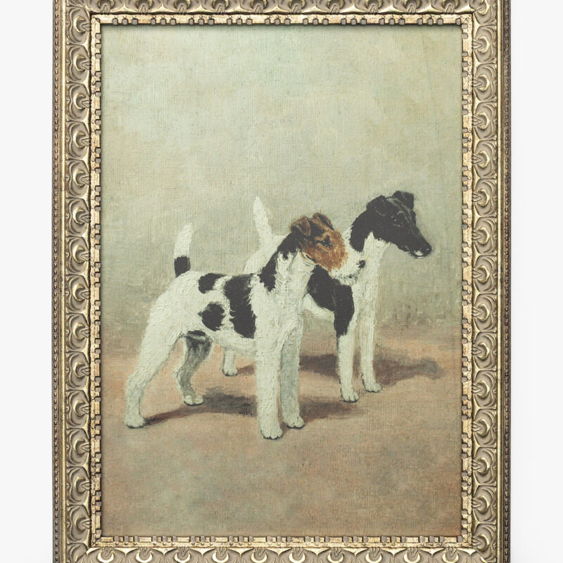 Fox Terriers McGee & Co