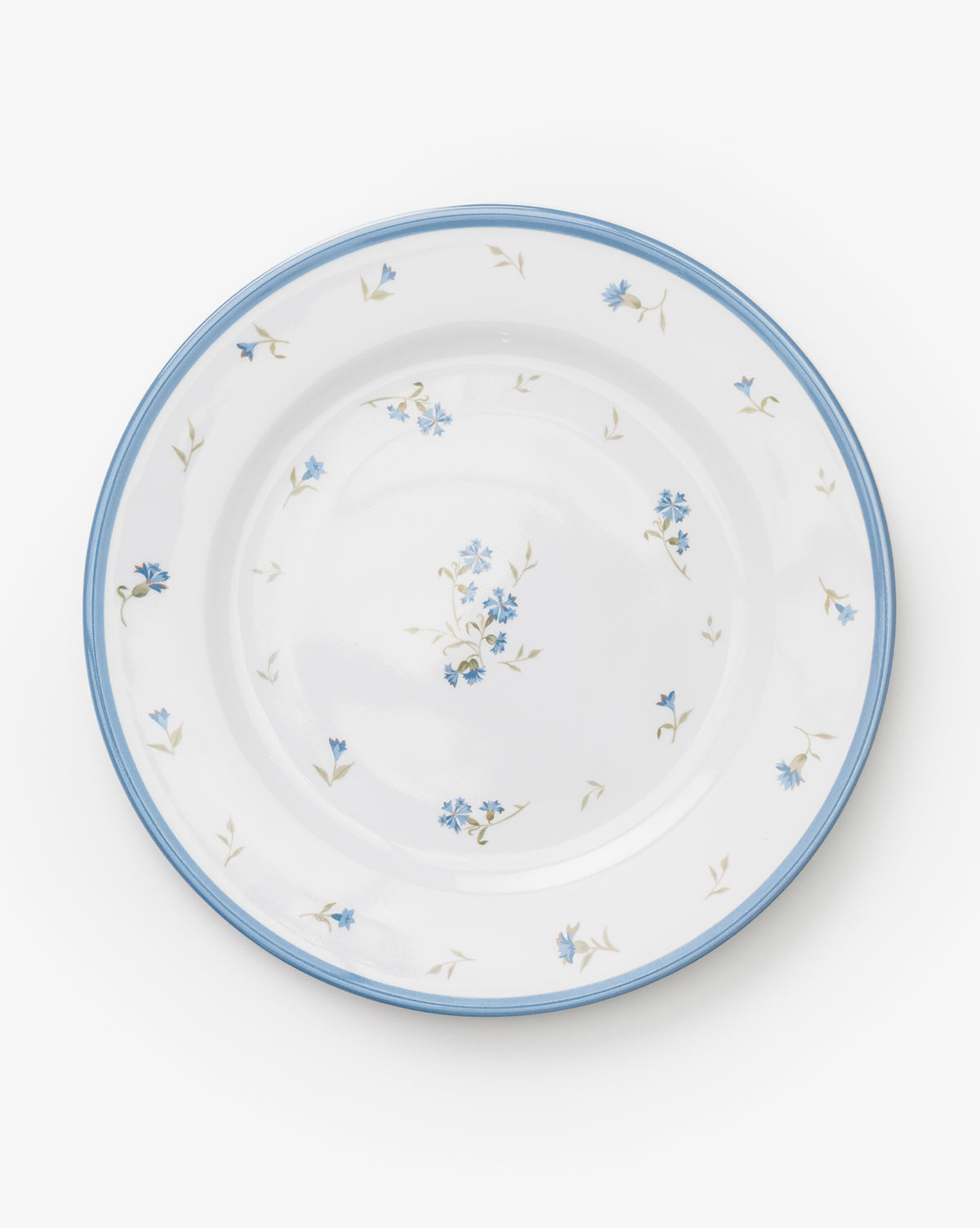 Hollingbury Melamine Outdoor Dinner Plates (Set of 4) McGee & Co