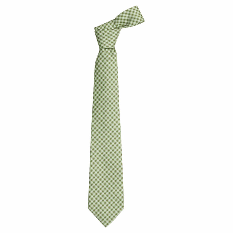 Neck Tie in Watercress Gingham Little English