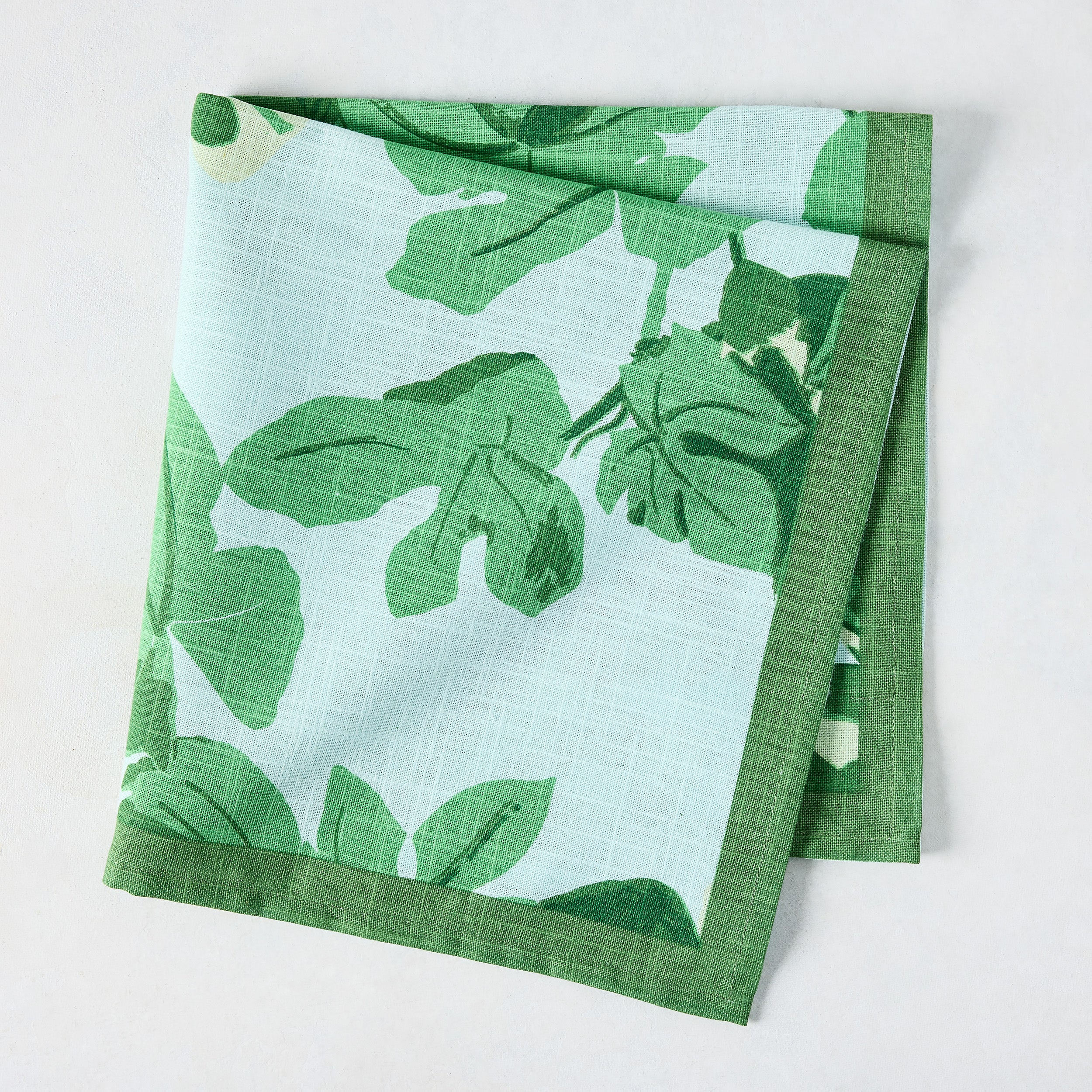 Peter Dunham + Hudson Grace Green Fig Leaf Printed Pale Blue Napkin Hafiz Exports