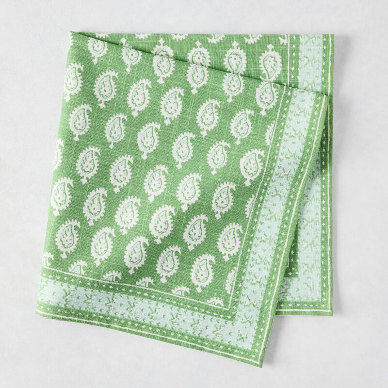 Peter Dunham + Hudson Grace Green Janpath Printed Napkin Hafiz Exports