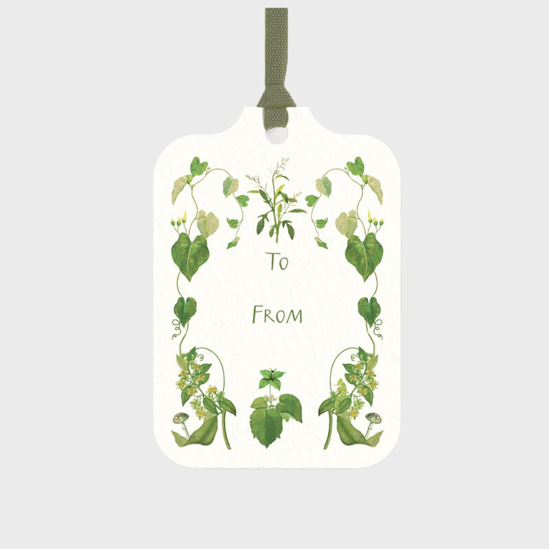 Selva Gift Tags Casa Felix