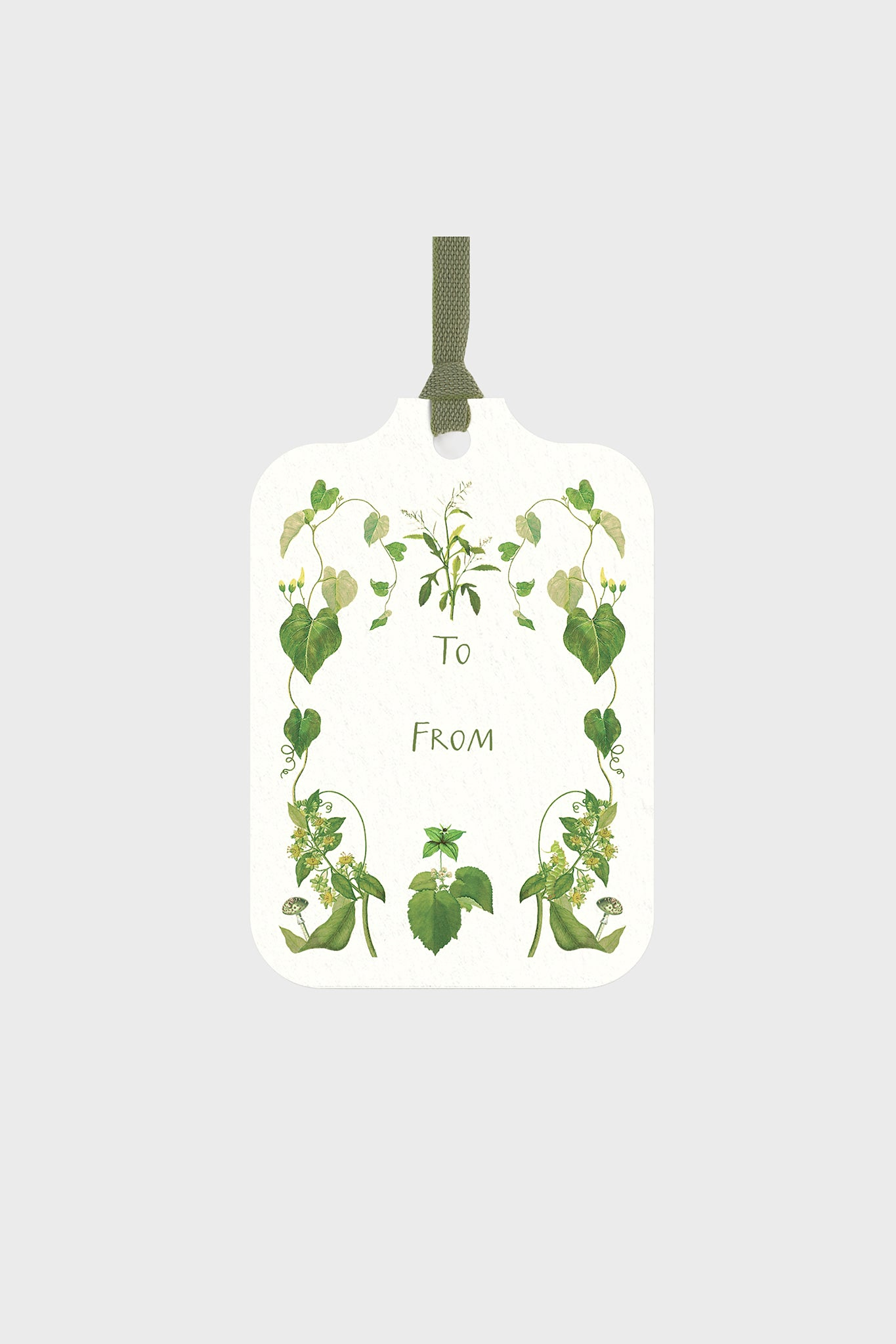 Selva Gift Tags Casa Felix