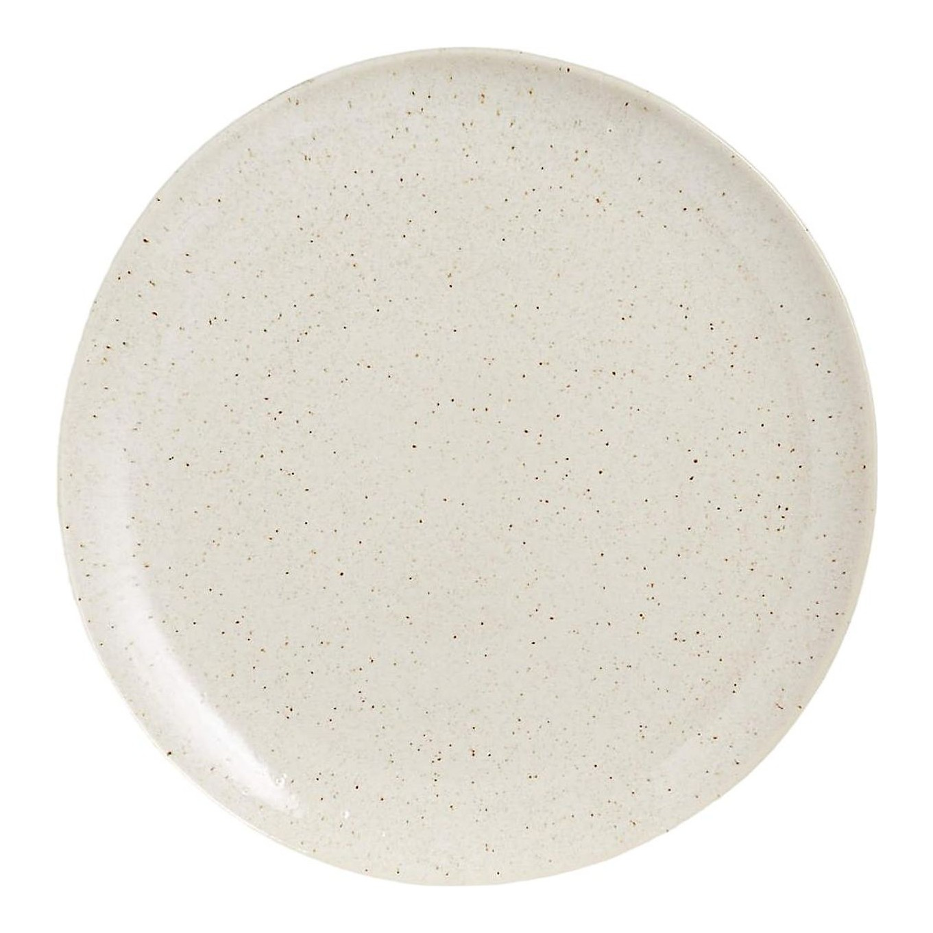 speckled dinner plate