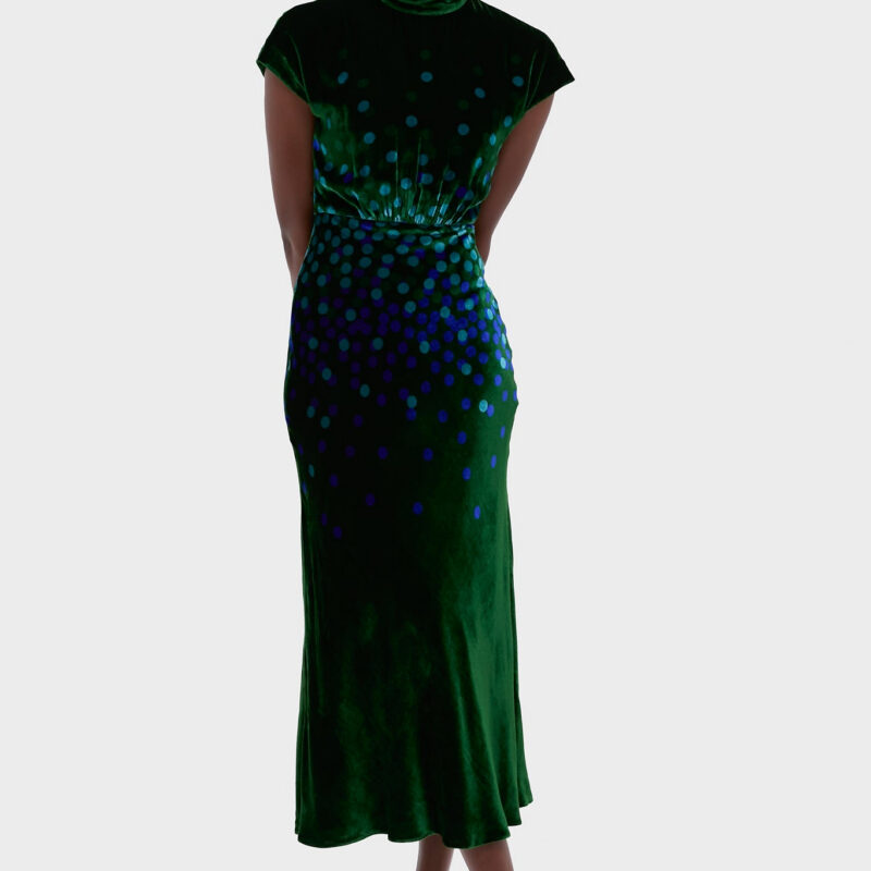 Starlight Sky Fabienne-B Midi Dress Saloni