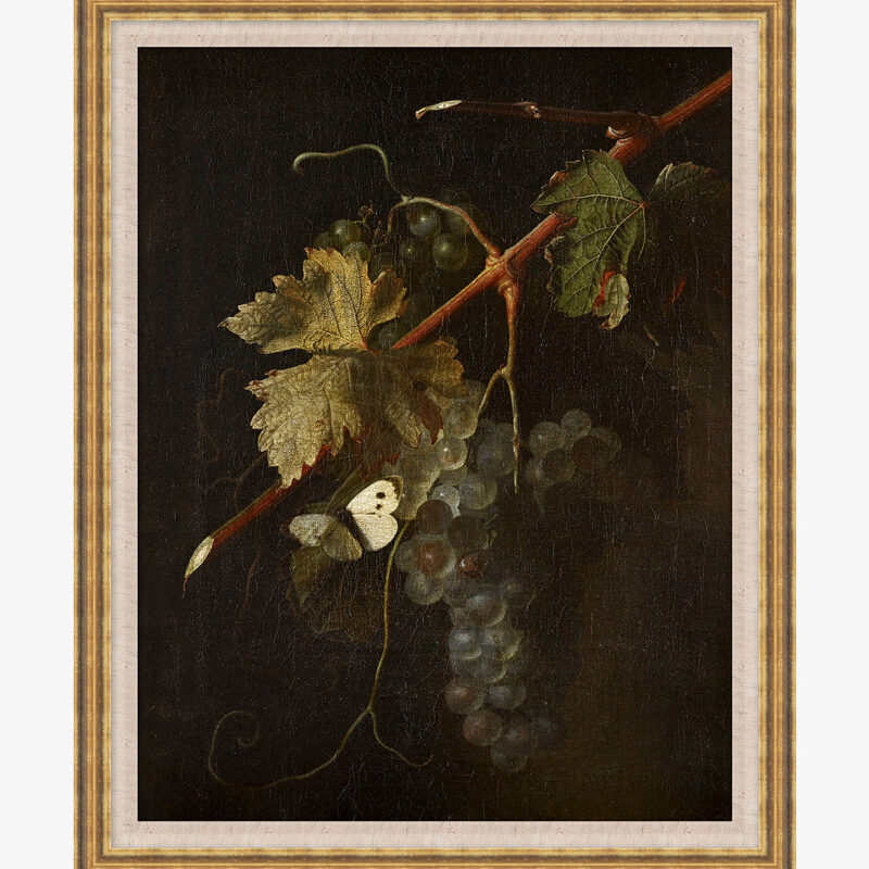 Stillness of the Vine McGee & Co