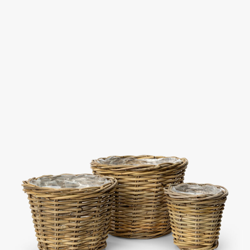 Tapered Basket Planters (Set of 3) McGee & Co
