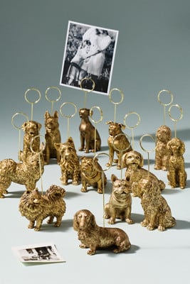 The Animal Icon Photo Holder: Dog Edition