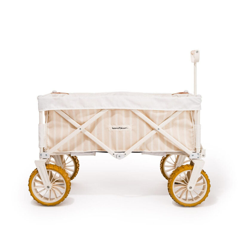 The Beach Cart Business & Pleasure Co.
