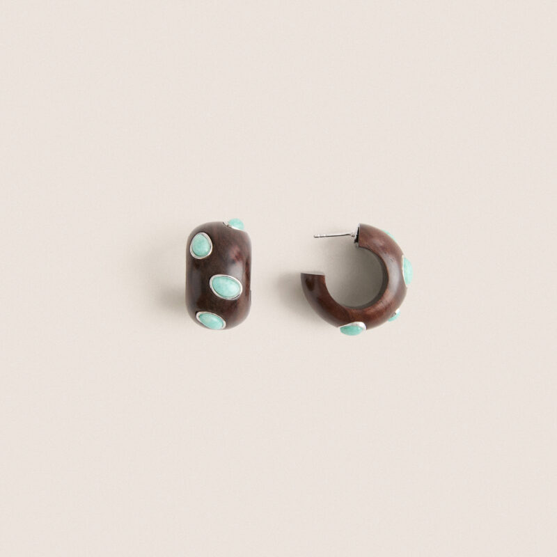 Tuckernuck x Lizzie Fortunato Amazonite Acacia Earrings