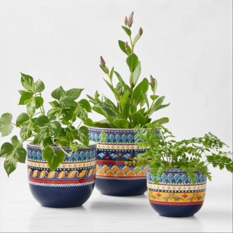 Sicily Cache Pot Collection, Set of 3