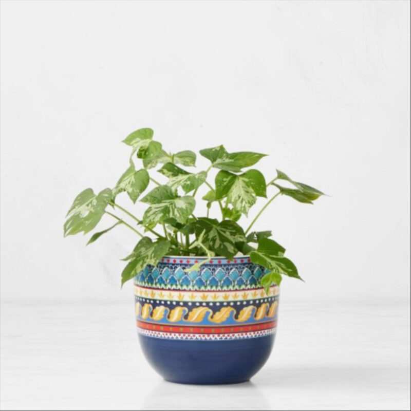 Sicily Planter, Medium