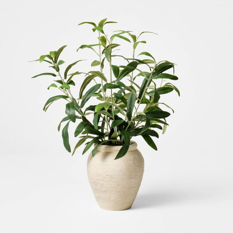 Small Olive Leaf Arrangement - Threshold™ designed with Studio McGee