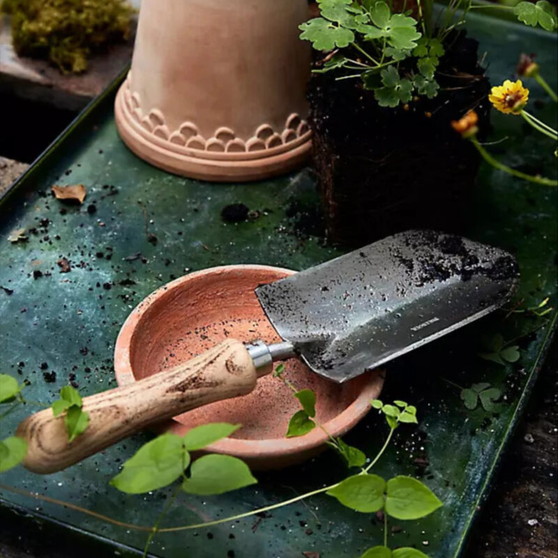 Sneeboer Half Round Trowel Gift Set, Size: 13" at Terrain