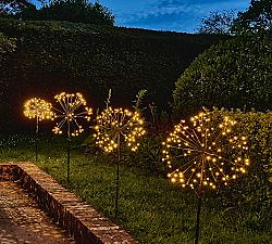 Solar Outdoor Lit Dandelion LED Lawn Stakes