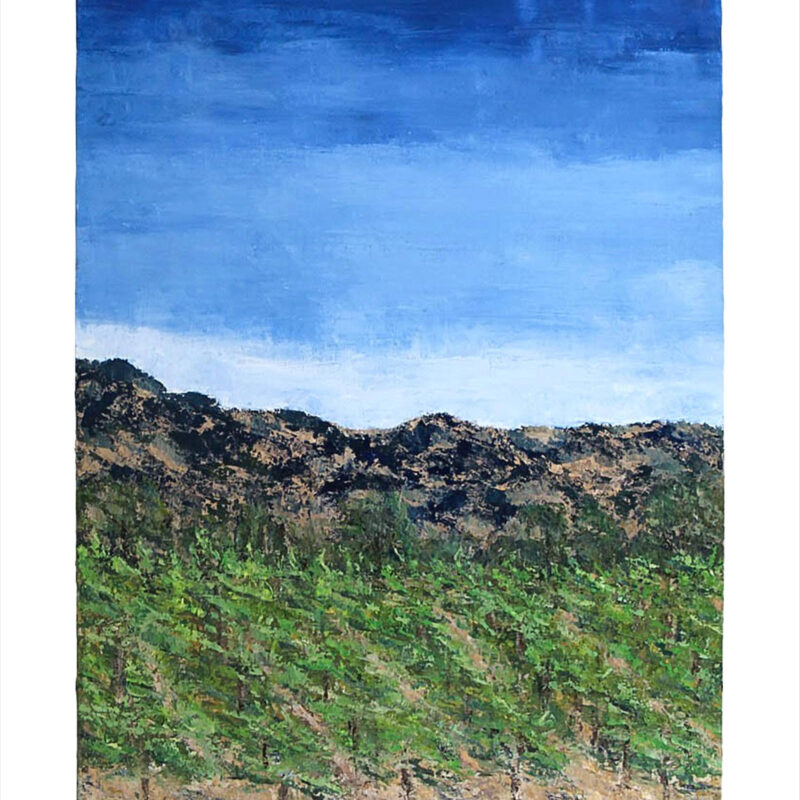 Serena & Lily Spring Vineyard by Kenna Norris