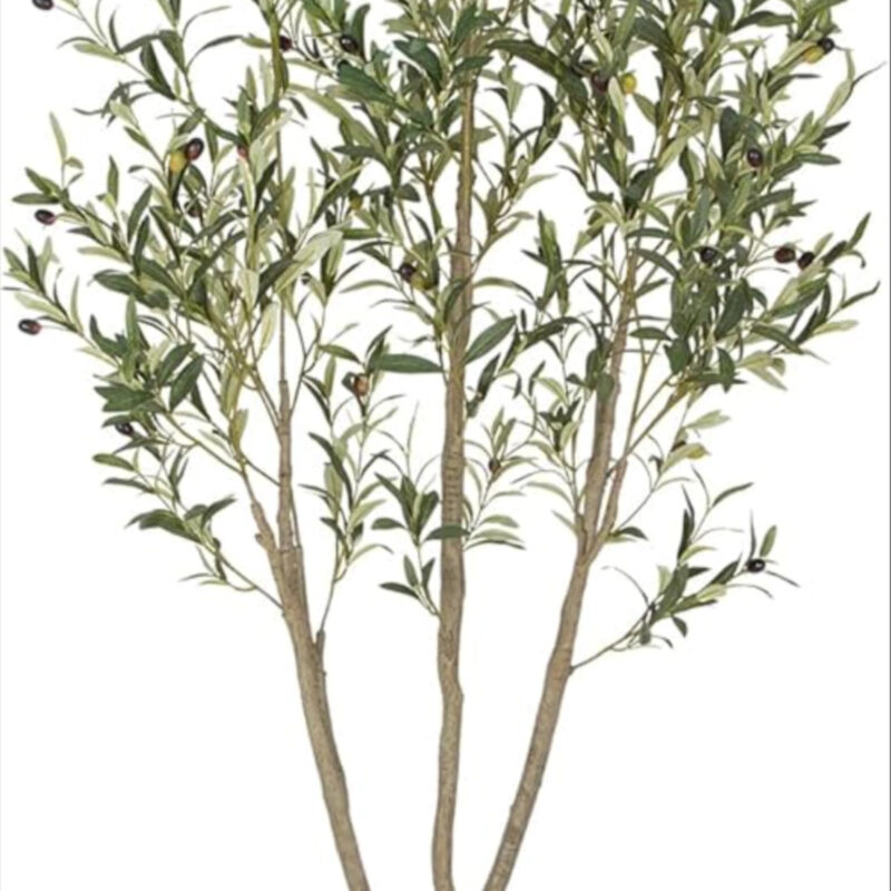 VIVATREES Olive Trees Artificial Indoor, 6FT Tall Faux Olive Tree with White Tall Planter, Artifi...