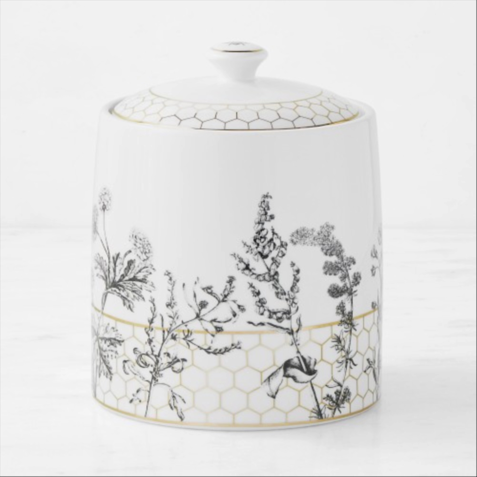 Williams Sonoma Honeycomb Porcelain Canister, Small