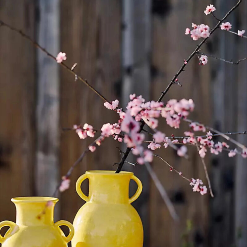 Yellow Terracotta Double Handle Vase